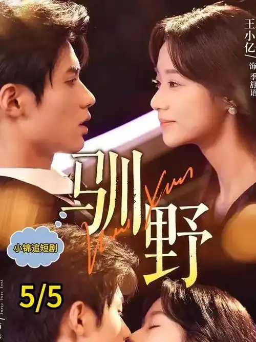 灰色公告职场剧全集在线观看